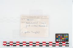 Foto von Keramiktopf (NHMW-PRAE-078101)